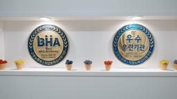 구디아카데미 자바 백엔드 부트캠프  | 