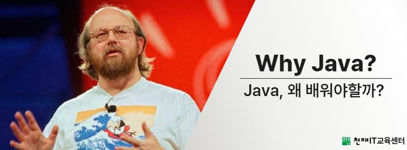 Java, 왜 배워야 할까? 이제서야 이런 이야기를 한다고???